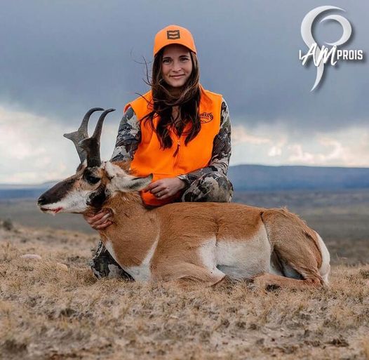 Pronghorn Down!
