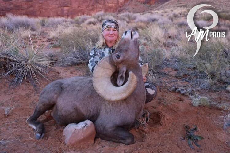 Ram-A-Lama!