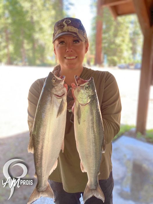 Did Someone Say 'Kokanee'!?