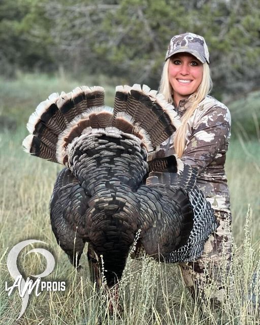 Colorado Turkey Tag NOTCHED!