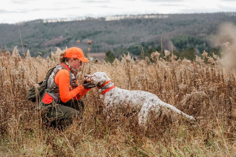 Bird Dog Appreciation!