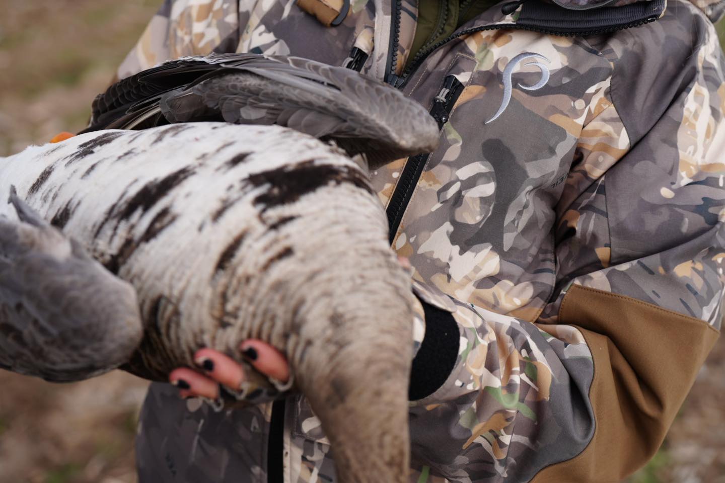 Veil/Prois Kansas Photoshoot Success!