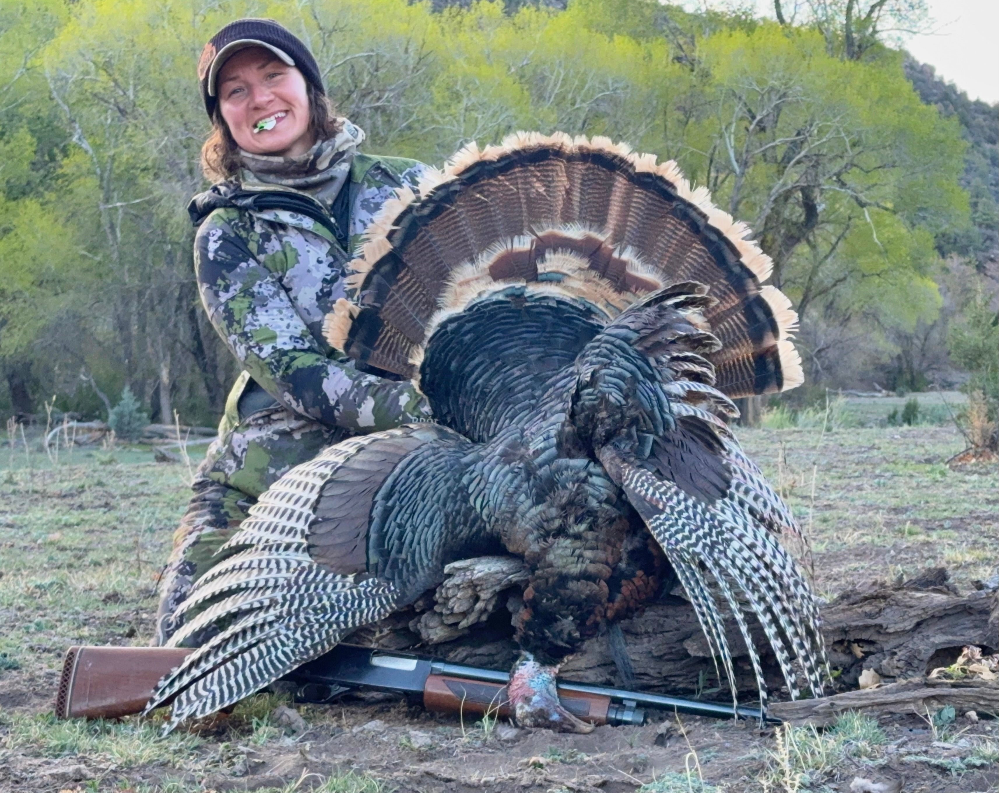 Voices of Prois... Solo New Mexico Merriam Hunt