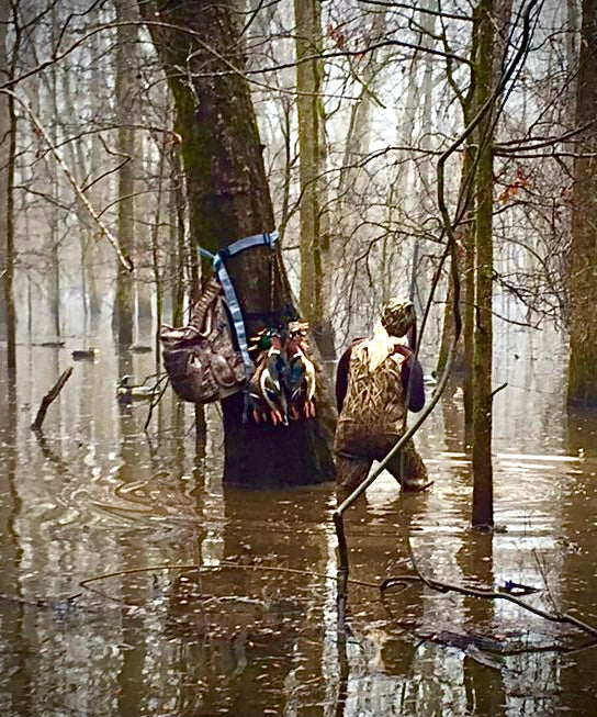 The Passion For Ducks...By Prois Virginia State Coordinator, Kristi Martel!