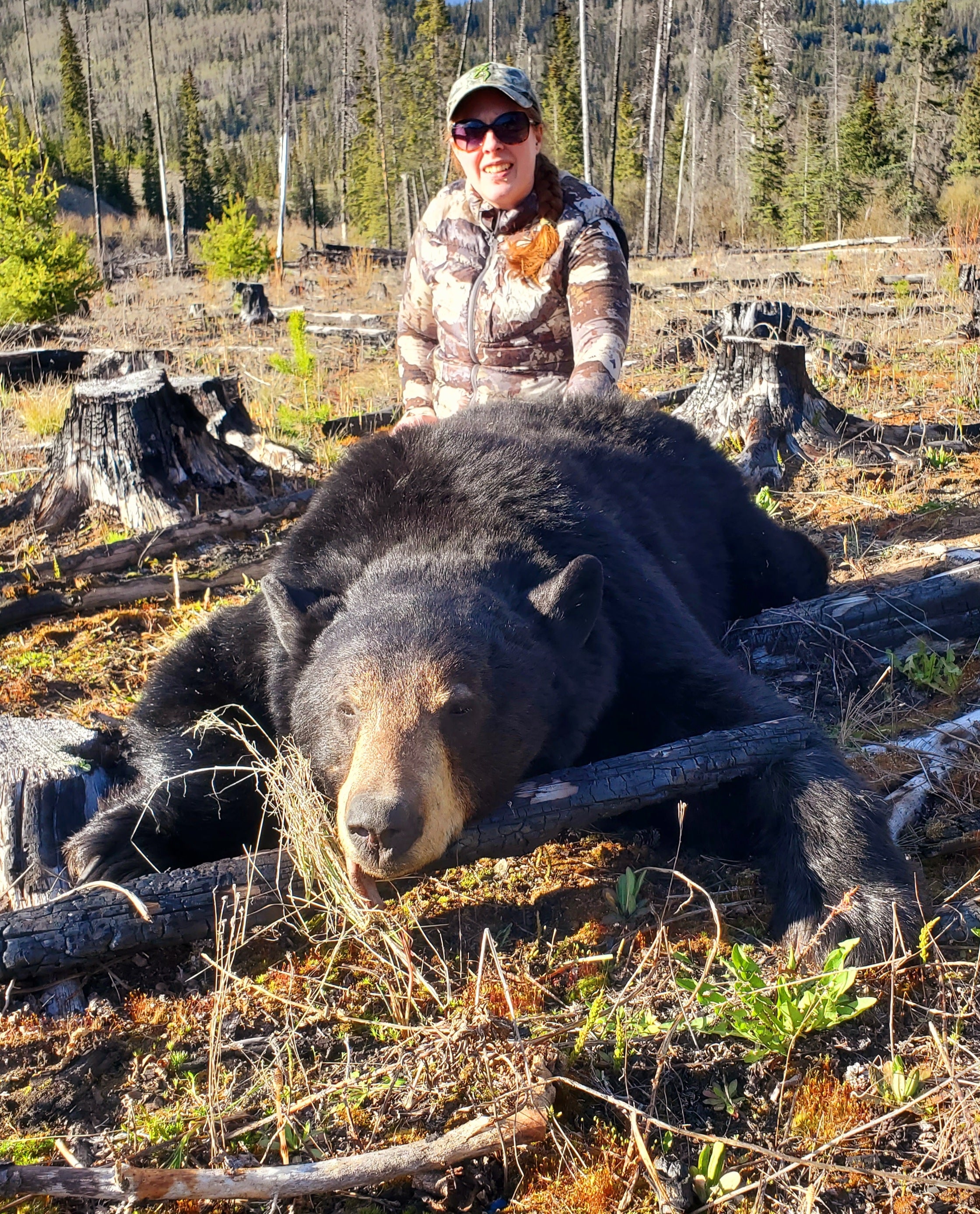 Voices of Prois... Spot & Stalk Bears!