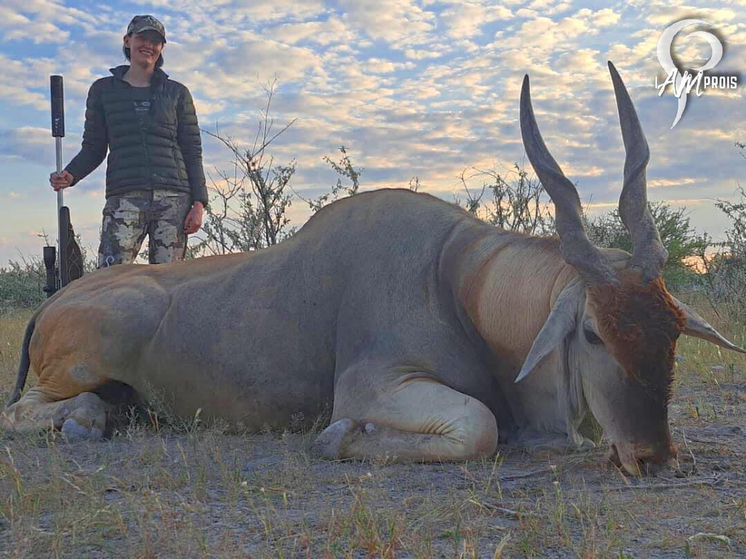 Eland Down in Namibia!