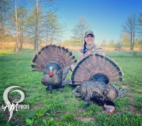 Iowa Bird Down For Staffer Mackenzie Sprain!