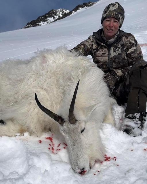 Got Your Goat!