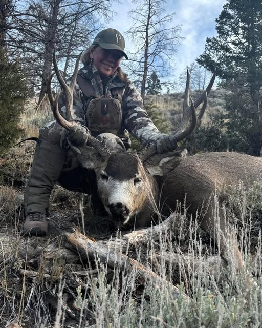 Colorado Muleys