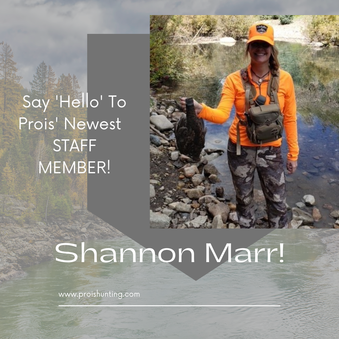 Welcome To The Prois Staff, Shannon Marr!