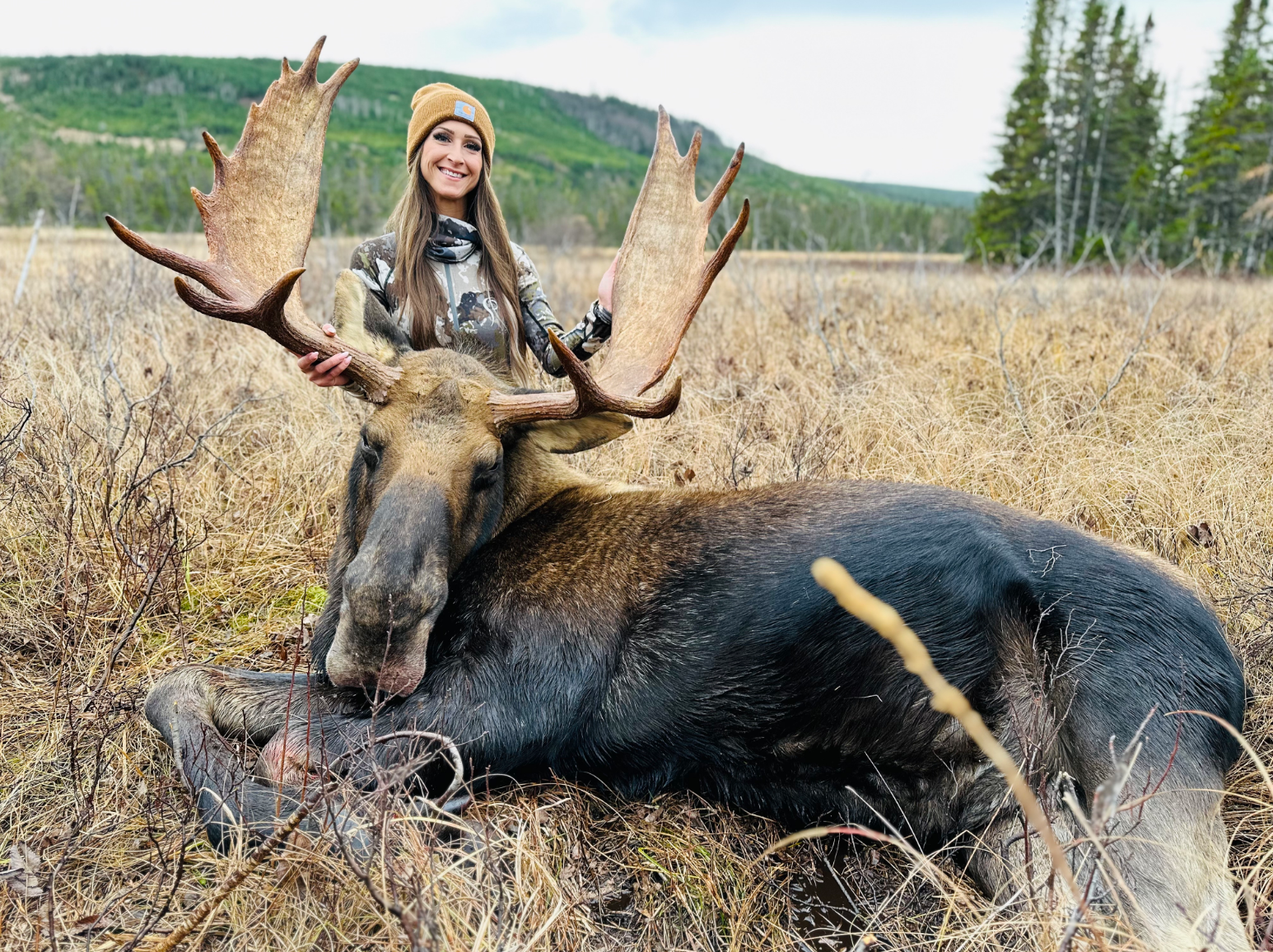 Moose Hunt Of A Lifetime!
